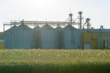 Farm silos in a field